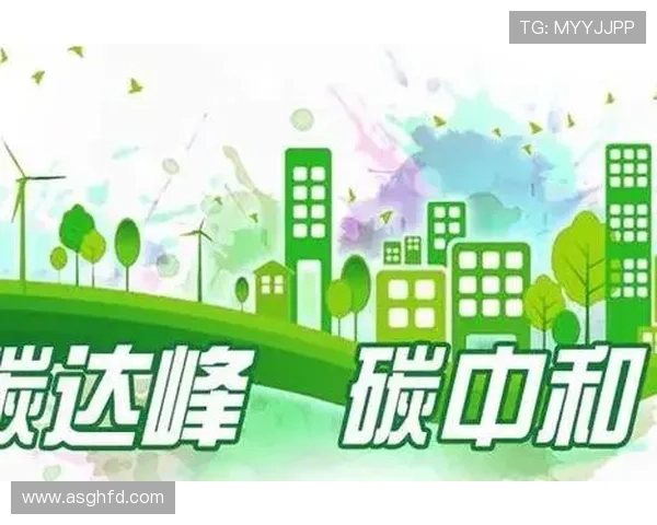 民法领域的创新与挑战姚明斌的法律实践与思考